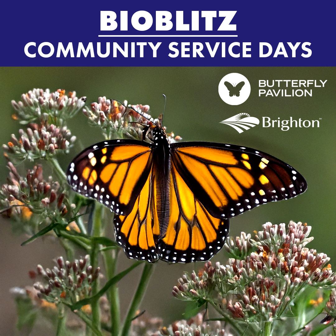 BioBlitz2
