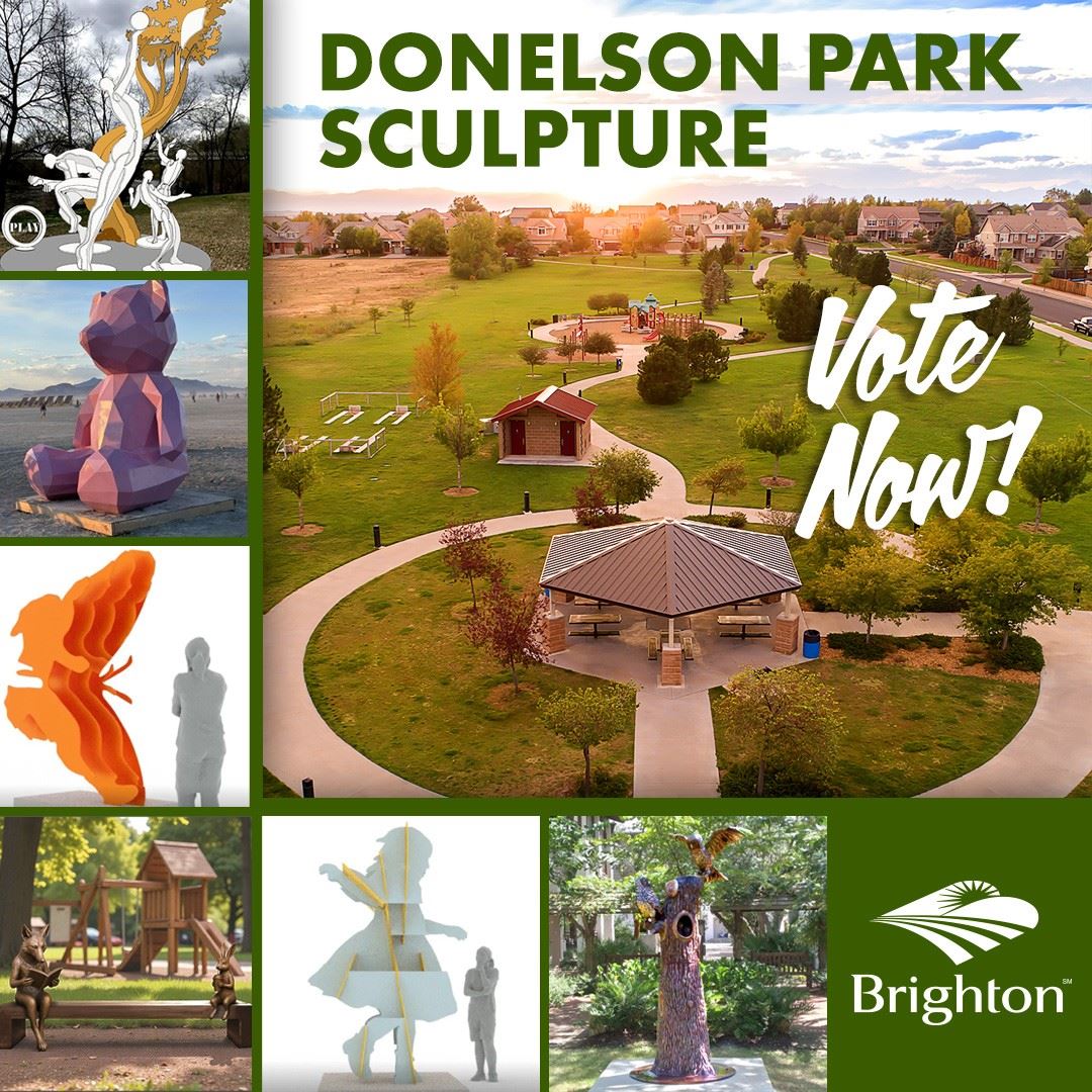 Donelson Park sculpture voting
