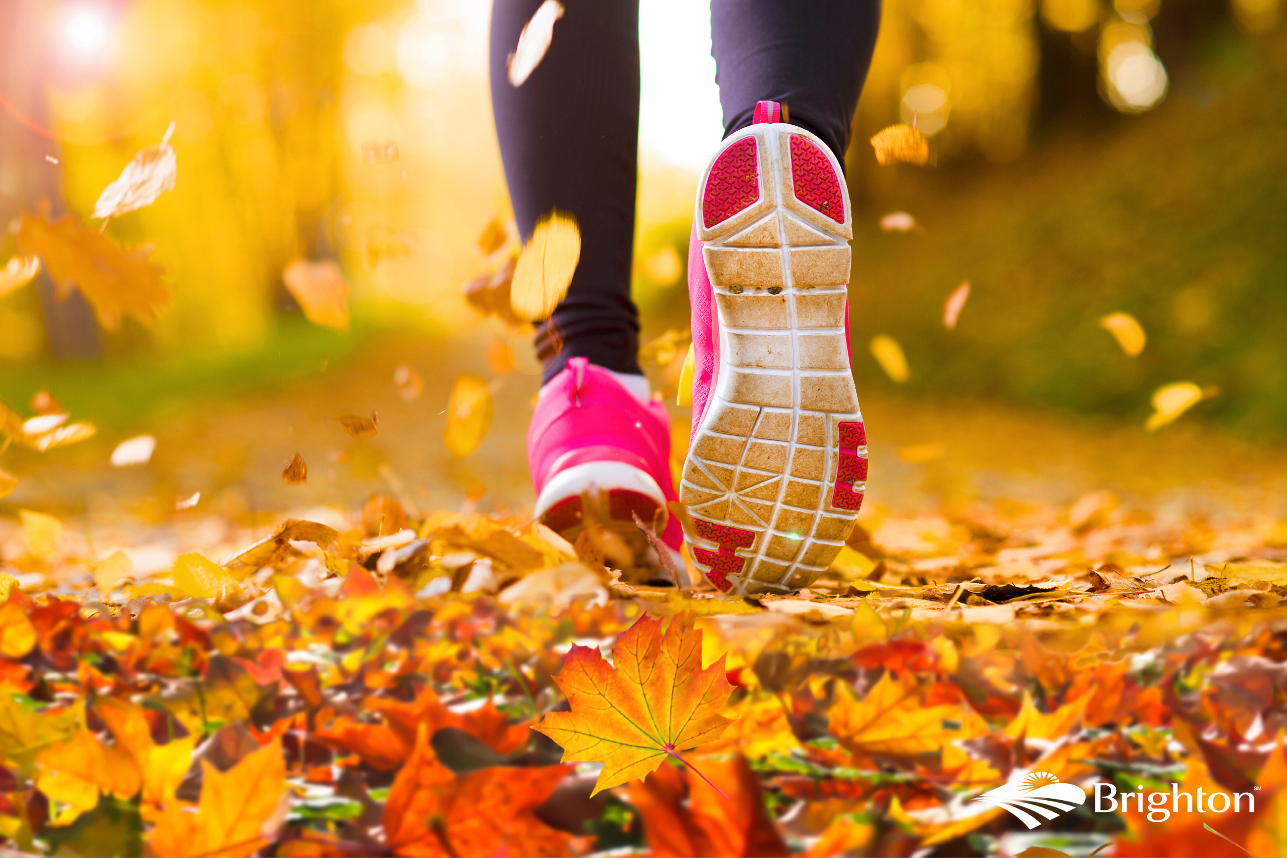 decorative image fall into fitness bingo