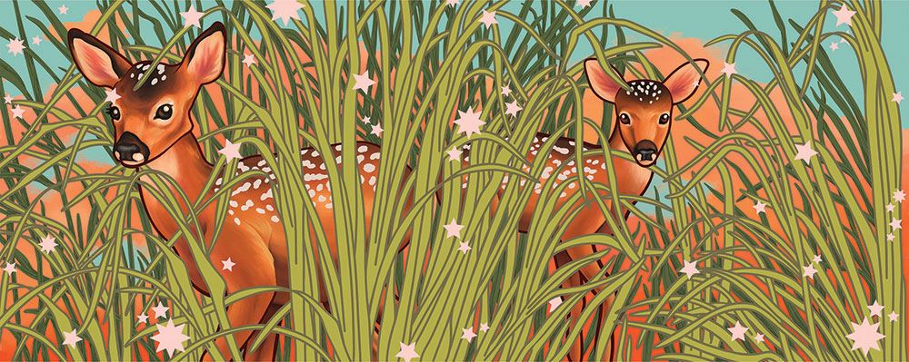 SamanthaPascavis_FieldFawns