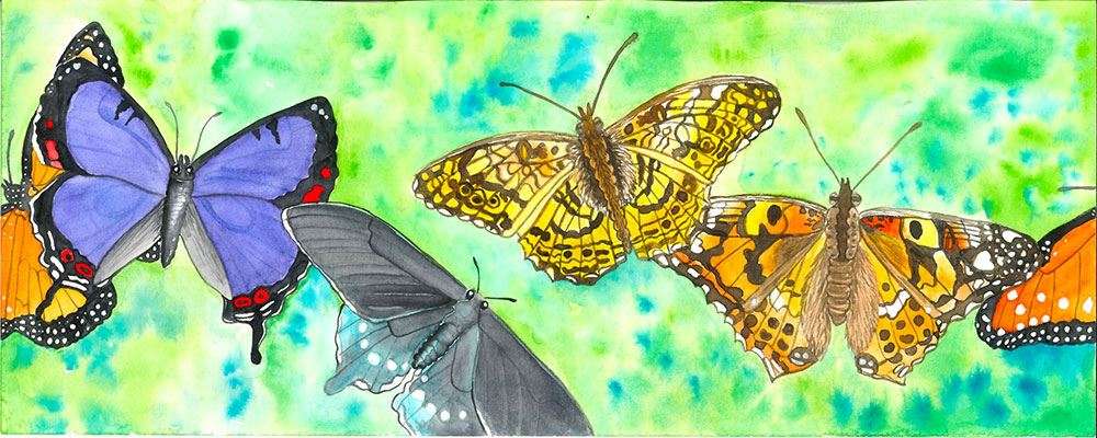 DeborahEwing_Butterflies-For-Traffic-Box