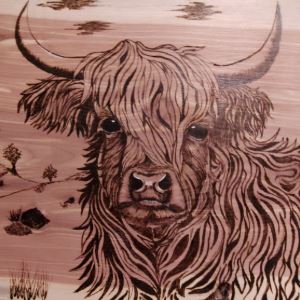 Woodburned image of a highland cow on wood. 