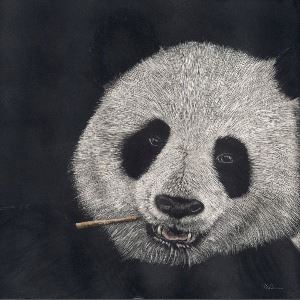 SarahBennett.BambooLife.12x12