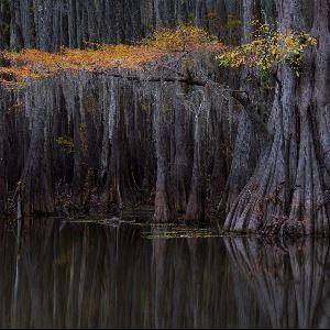 The Last Light of Fall