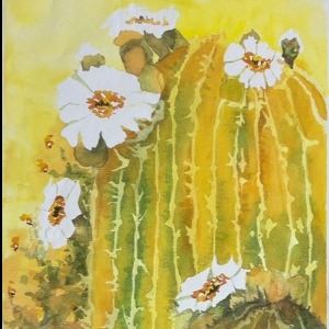Blooming Cactus